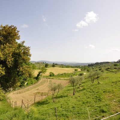 panorama-con-orto