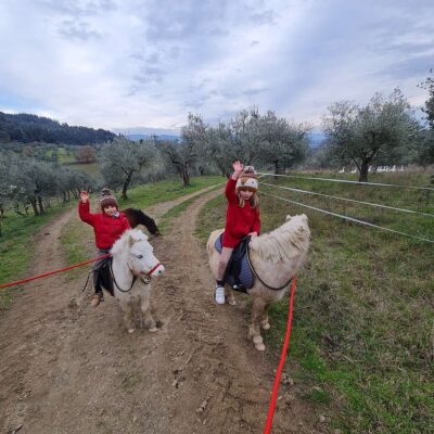 fattoria-maiano-esperienze_attivita-pony-03