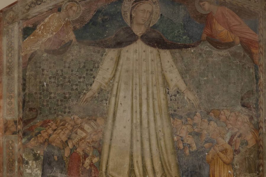 fattoria-maiano-tour-donne-botanic-garden-08-09-marzo-2025_01