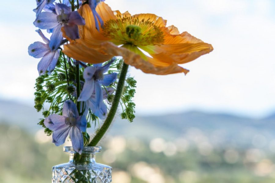 pasqua-in-fattoria-2026